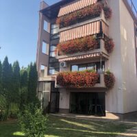 Cea mai frumoasă fațadă: Carmen Câmpean – proiectul ’’Clujul cu flori 2020’’