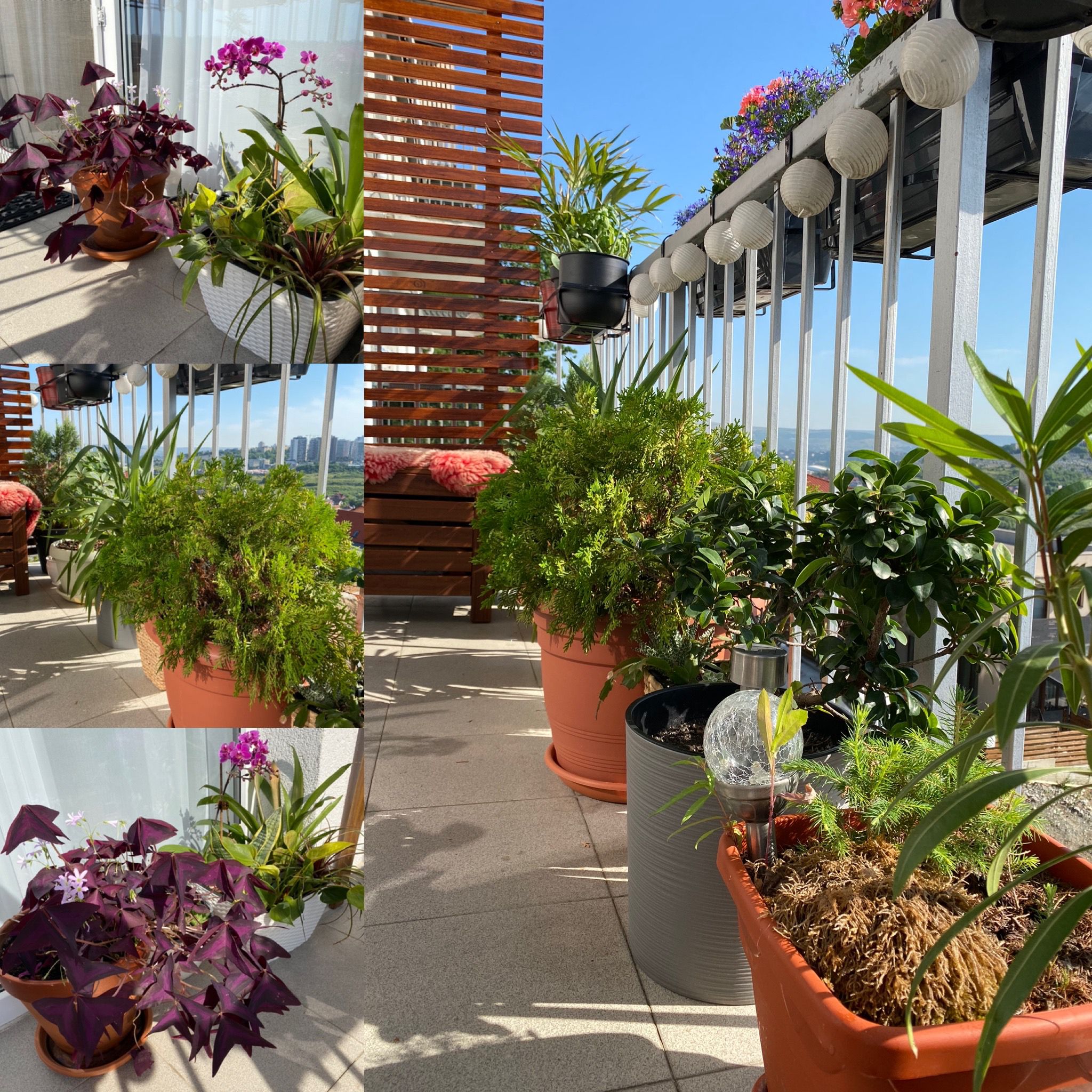 Balconul-oaza de relaxare