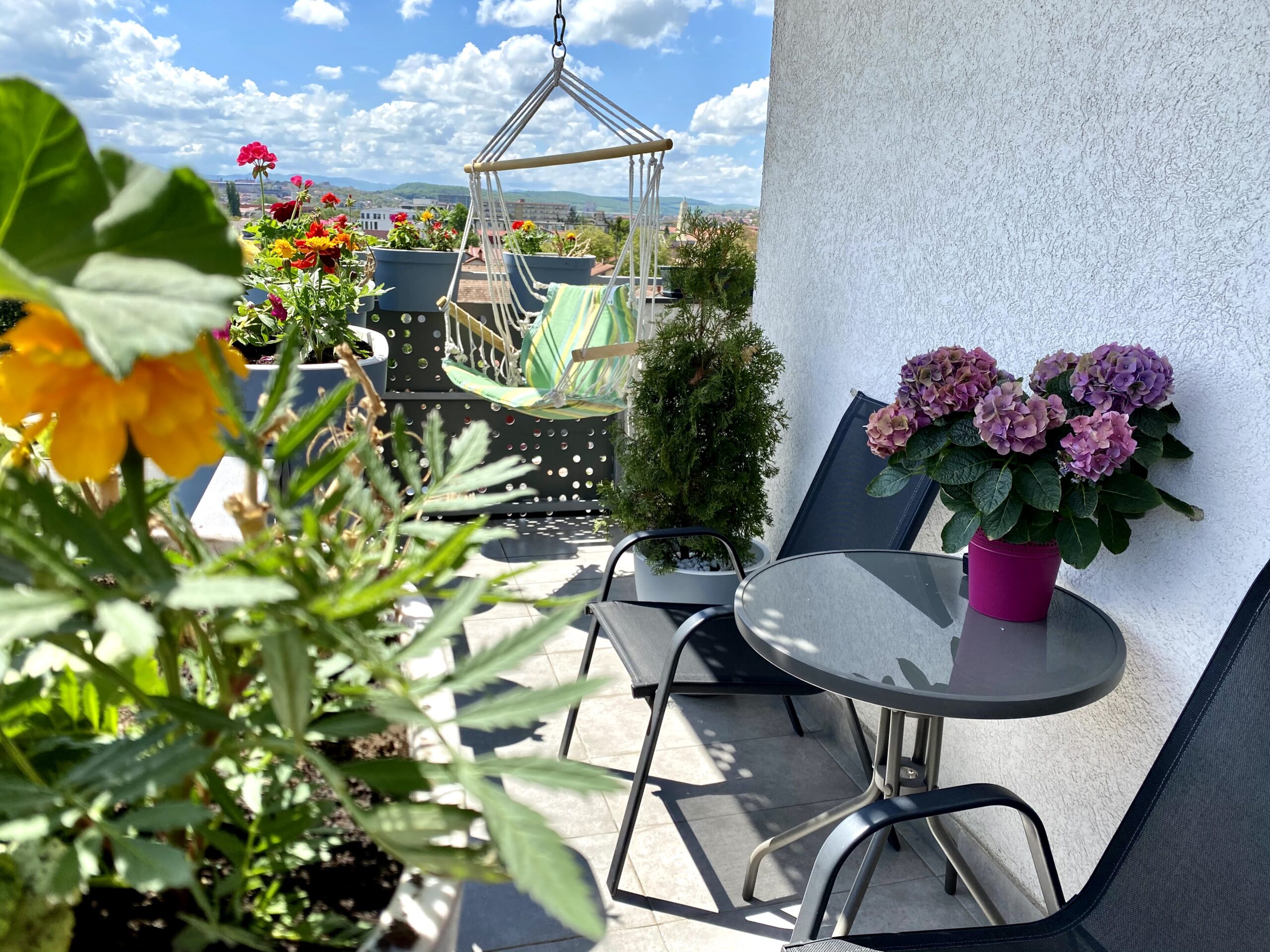 Balconul meu, grădina mea botanica