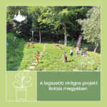 Viragos Kolozsvar 2023 eredmenyek legszebb Viragos projekt Kolozs megye HU 01